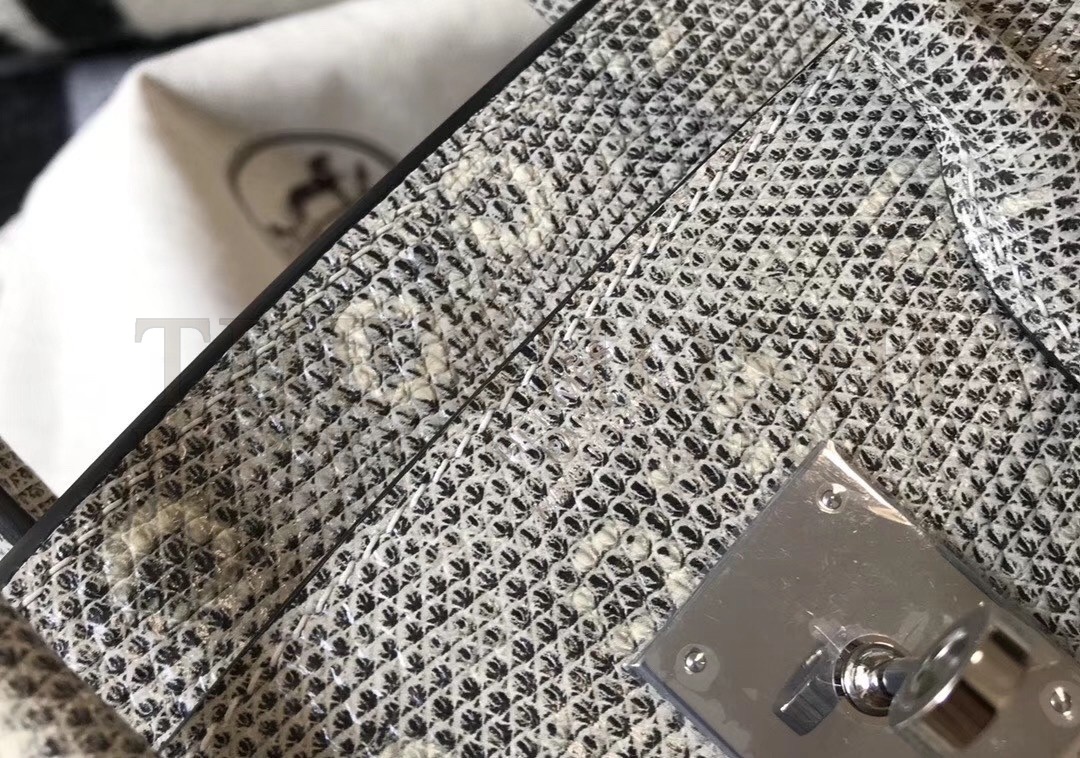 H**me5 Birkin 25cm Bag In Ombre Embossed Natural Lizard Master Quality