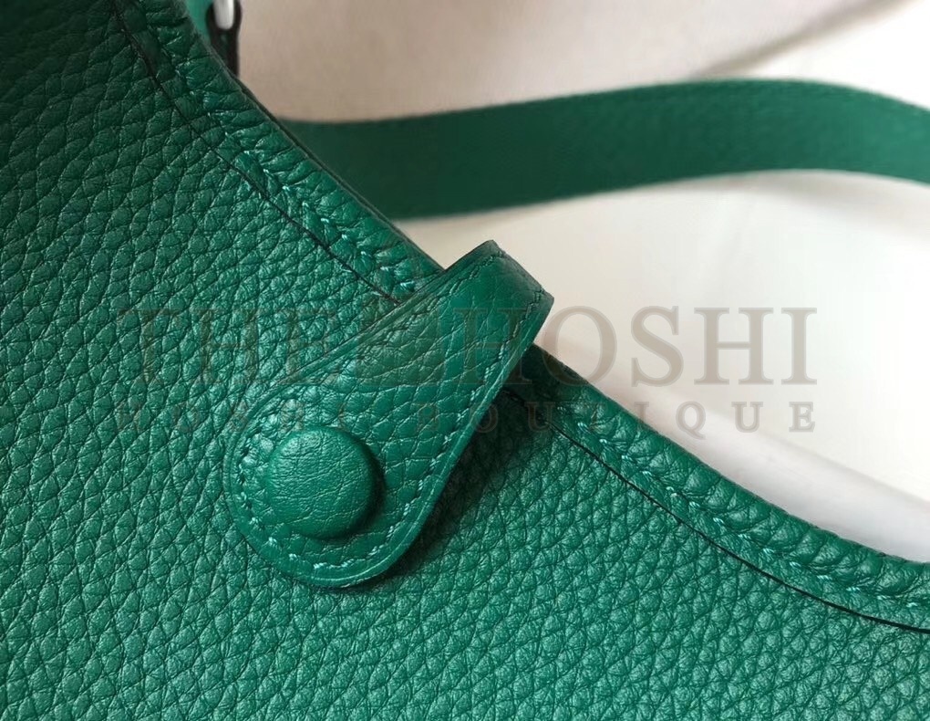 H**me5 Evelyne III TPM Bag In Vert Vertigo Clemence Leather Master Quality