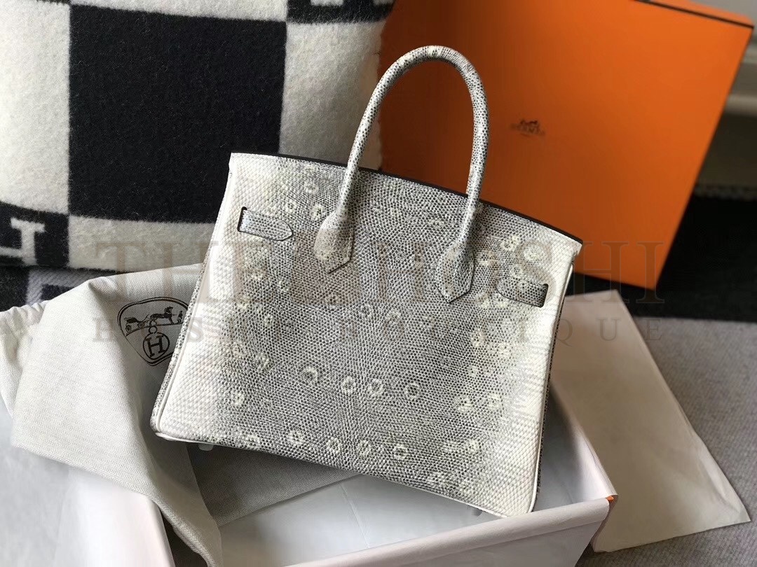 H**me5 Birkin 30cm Bag In Ombre Embossed Natural Lizard Master Quality