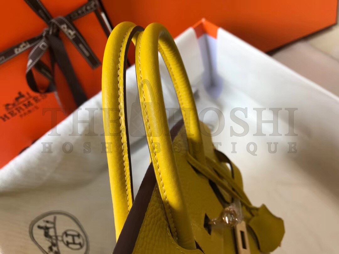H**me5 Birkin 25 Bag In Yellow Clemence Leather with GHW Master Quality