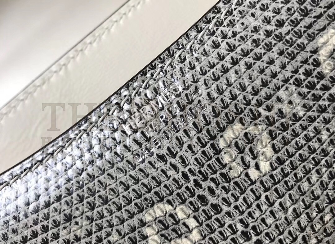 H**me5 Constance 18cm Bag In Ombre Embossed Natural Lizard Master Quality