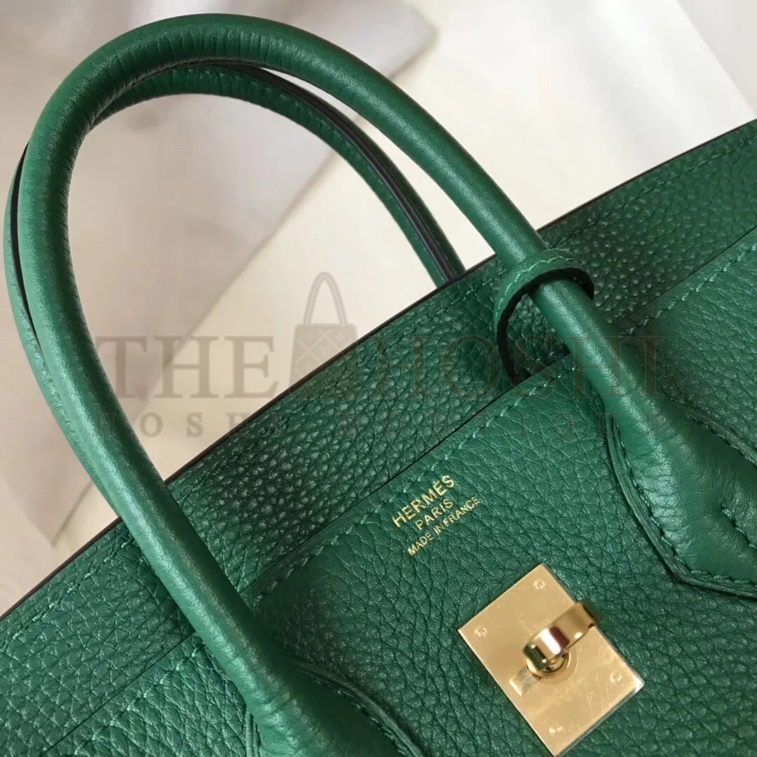 H**me5 Birkin 25 Bag In Vert Vertigo Clemence Leather with GHW Master Quality
