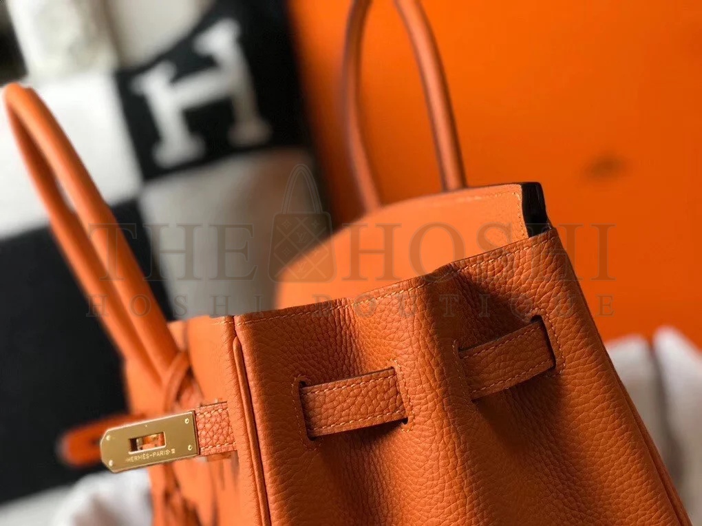H**me5 Birkin 30 Bag in Orange Clemence Leather with GHW Master Quality
